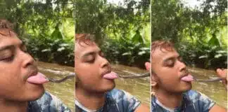 Viral Video | जीभ दिखाना पड़ा भारी, सांप ने अचानक दबोची जीभ—वीडियो देख सहमे लोग सांप ने अचानक दबोची जीभ