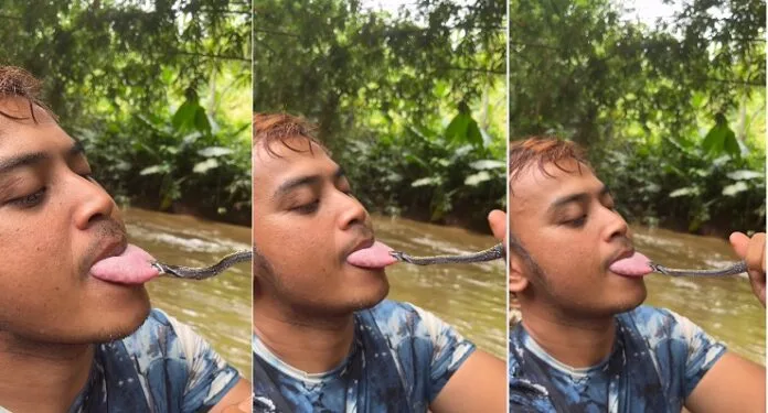 Viral Video-19 सांप ने अचानक दबोची जीभ