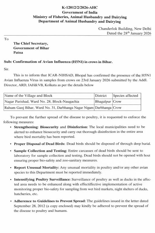 कौवों की रहस्यमयी मौत से दहला भागलपुर–दरभंगा का यह इलाका, बर्ड फ्लू की दस्तक! Bird flu