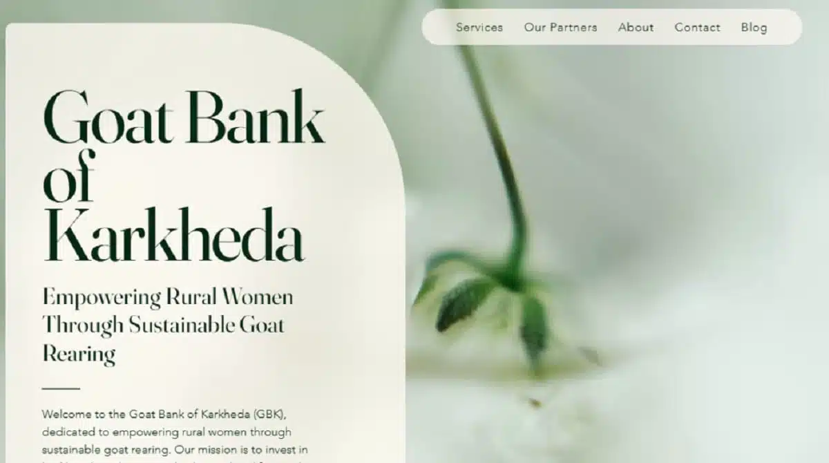 Goat Bank : चौंकिए मत… सिर्फ पैसों या ब्लड बैंक ही नहीं, अब खुल गया बकरी बैंक, जानिए क्या है पूरा मॉडल Goat Bank : चौंकिए मत… सिर्फ पैसों या ब्लड बैंक ही नहीं, अब खुल गया बकरी बैंक, जानिए क्या है पूरा मॉडल Goat Bank 1