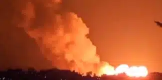 अफगानिस्तान-पाकिस्तान में खुली जंग! तालिबान का दावा- 55 पाक सैनिक मारे, कई चौकियां छिनीं Pakistan