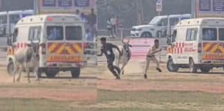 बेगूसराय में सीएम के हेलीपैड पर घुसा बैल, पुलिसकर्मियों को दौड़ाया, मची भगदड़ सीएम