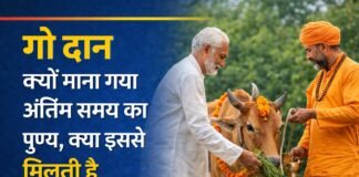 गौ दान क्यों माना गया अंतिम समय का पुण्य, क्या इससे मिलती है मुक्ति? Gau Daan Ka Mahatva