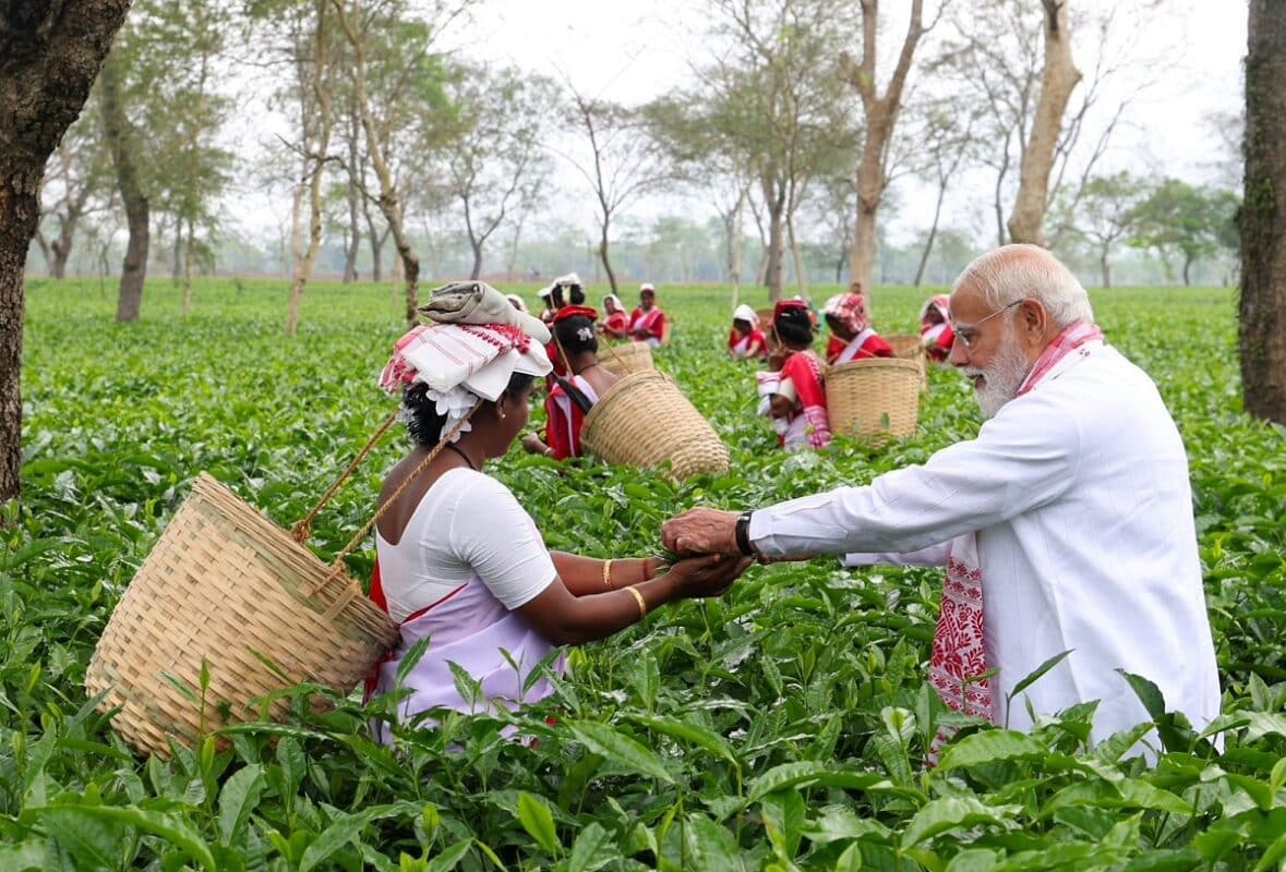 PM Modi in Assam : हाथ में टोकरी और मुस्कान के साथ चाय की पत्तियां तोड़ते नजर आए पीएम मोदी PM Modi in Assam : हाथ में टोकरी और मुस्कान के साथ चाय की पत्तियां तोड़ते नजर आए पीएम मोदी PM Modi in Assam 3