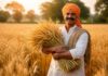 गेहूं बेचने के नियम में बदलाव