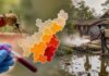 झारखंड में मलेरिया का विस्फोट, 42 हजार पार केस; 5 जिले बने हॉटस्पॉट पूर्वी सिंहभूम में मलेरिया जांच अभियान