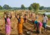 मनरेगा की जगह लागू होगी नई ग्रामीण रोजगार योजना, 1 जुलाई से लागू; 125 दिन काम की गारंटी 30 जून के बाद बंद होगा मनरेगा.