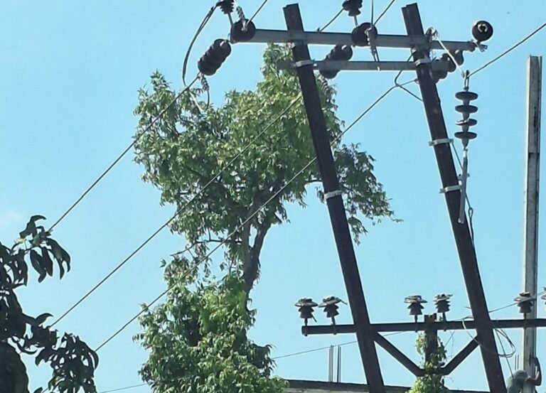 भागलपुर : दाउदवाट में झुका 33 KV का पोल, मोजाहिदपुर पावर हाउस आज सुबह 10 बजे से रहेगा बंद
