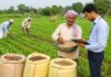 भागलपुर में किसानों को मिल रहे उन्नत बीज, फसल क्षति अनुदान के लिए आवेदन भी शुरू भागलपुर में किसानों को उन्नत बीज वितरण