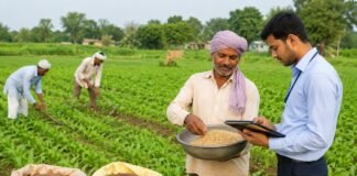 भागलपुर में किसानों को मिल रहे उन्नत बीज, फसल क्षति अनुदान के लिए आवेदन भी शुरू भागलपुर में किसानों को उन्नत बीज वितरण