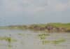 भागलपुर में गंगा का बढ़ता जलस्तर