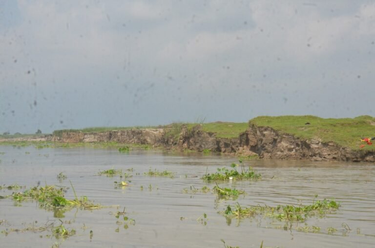 भागलपुर में बदले गंगा के तेवर, 24 घंटे में 30 सेंटीमीटर बढ़ा जलस्तर; जानिए ताजा स्थिति