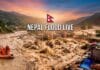 Nepal Flood Live : नेपाल में बाढ़ का रौद्र रूप, 157 मौतों से मचा हड़कंप; 500 लापता, 133 भारतीय भी शामिल नेपाल के रसुवा में विनाशकारी बाढ़